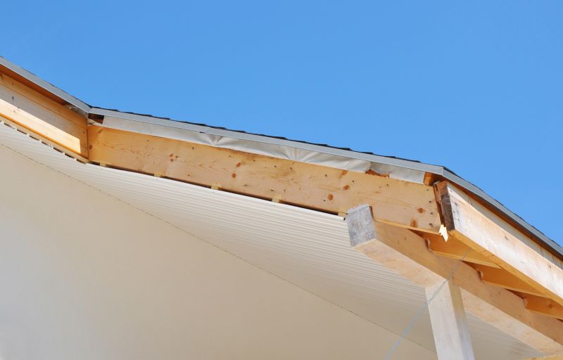 Rotted Fascia Repair in Overland Park, KS